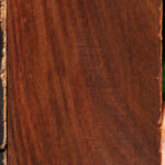 Cocobolo Micro Lumber