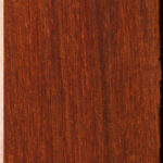 Cocobolo Bridge Blank