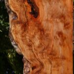 Sycamore Live Edge Lumber