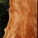 Figured Rustic Sycamore Live Edge Lumber