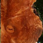 Figured Rustic Sycamore Live Edge Lumber