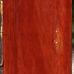 Figured Bloodwood Lumber
