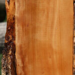 Figured Swiss Pear Live Edge Lumber