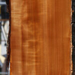 Extra Fancy Swiss Pear Live Edge Lumber