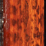 Snakewood Turning Square