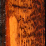 Snakewood Turning Square