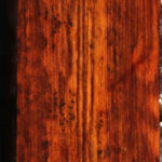 Snakewood Turning Blank