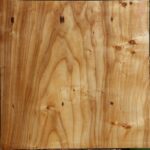 Silver Poplar Bowl Blank