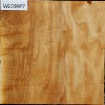 Extra Fancy Silver Poplar Bowl Blank