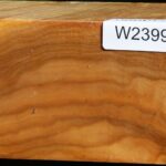 Silver Poplar Bowl Blank