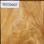 Extra Fancy Silver Poplar Bowl Blank