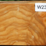 Silver Poplar Bowl Blank