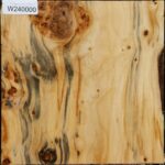 Figured Silver Poplar Bowl Blank