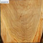 Silver Poplar Bowl Blank