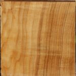 Figured Silver Poplar Bowl Blank