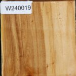 Figured Silver Poplar Bowl Blank