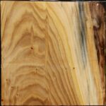 Silver Poplar Bowl Blank