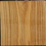 Silver Poplar Bowl Blank