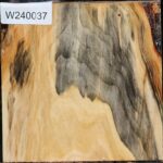 Figured Silver Poplar Bowl Blank