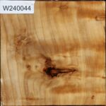 Silver Poplar Bowl Blank