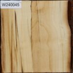 Silver Poplar Bowl Blank