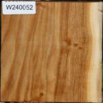 Silver Poplar Bowl Blank