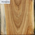 Silver Poplar Bowl Blank