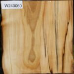 Silver Poplar Bowl Blank