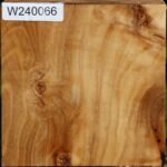 Figured Silver Poplar Bowl Blank