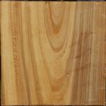 Silver Poplar Bowl Blank