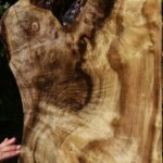 Extra Fancy Myrtle Lumber