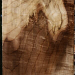 Exhibition Myrtle Lumber