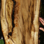 Extra Fancy Myrtle Live Edge Lumber