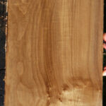 Extra Fancy Myrtle Lumber