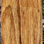 Amazique Lumber