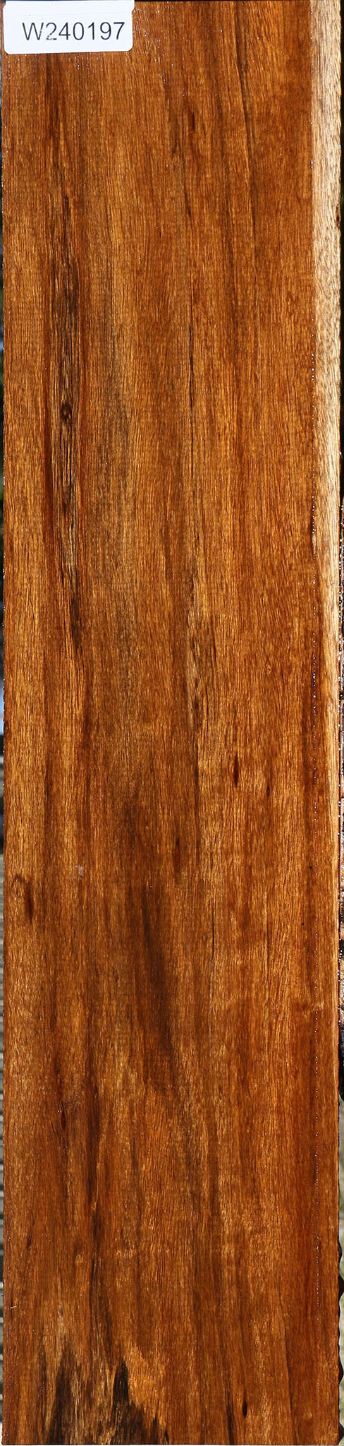 240197_1_371abb8b-c44c-4096-bda5-a9c958c154db Amazique Lumber - Image 1