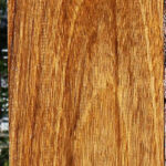 Amazique Lumber