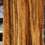 Figured Amazique Lumber