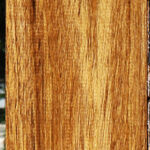 Amazique Lumber