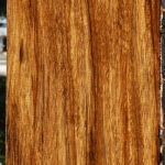 Figured Amazique Lumber