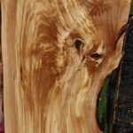 Extra Fancy Olive Live Edge Lumber