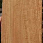 Extra Fancy Eucalyptus Lumber