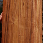 Patagonian Rosewood Lumber