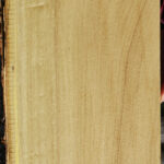 Honey Locust Live Edge Lumber