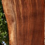 Extra Fancy Claro Walnut Live Edge Lumber