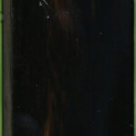 Gabon Ebony Turning Blank