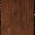 Caramelized Birch Lumber