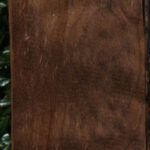 Curly Caramelized Birch Lumber