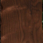 Curly Caramelized Birch Lumber