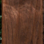 Caramelized Birch Lumber